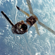 Image for article titled The First Animals In Space